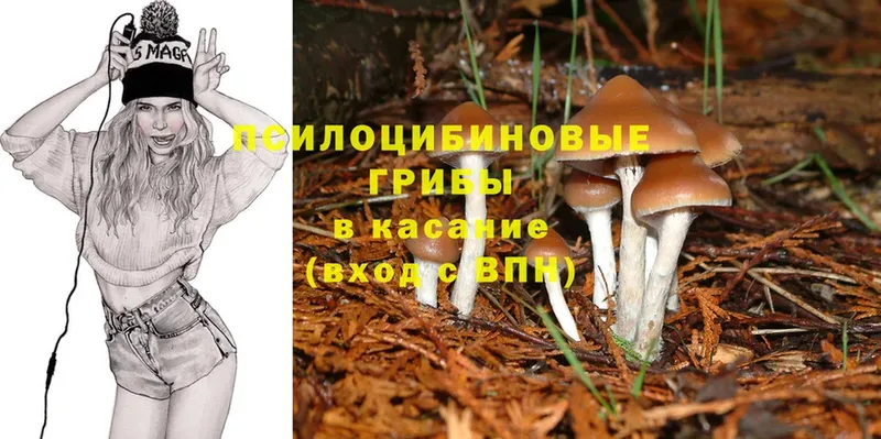 блэк спрут ссылка  купить наркоту  Выкса  Галлюциногенные грибы Magic Shrooms 